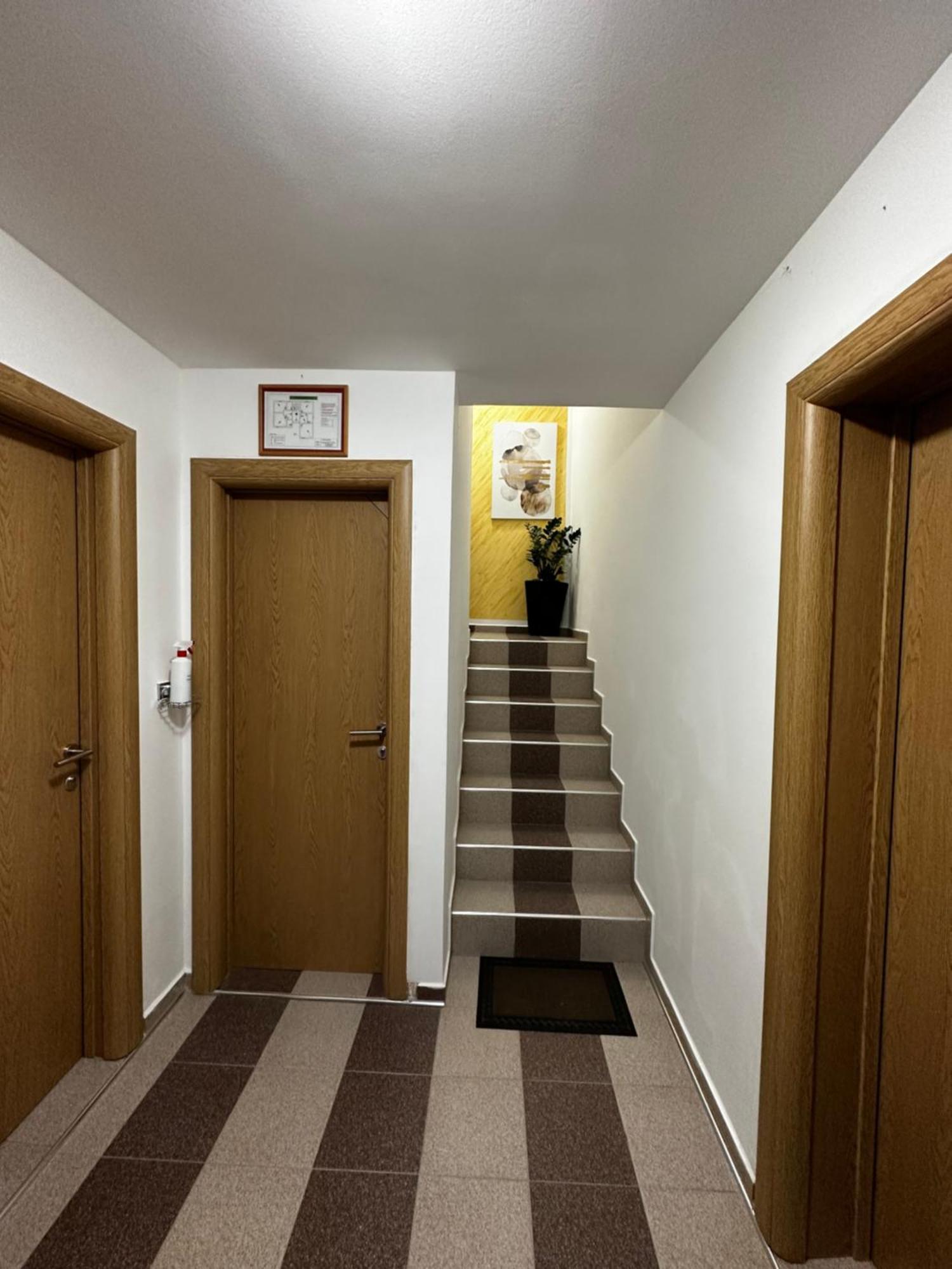 Apartmani Lotus Vrdnik Zewnętrze zdjęcie